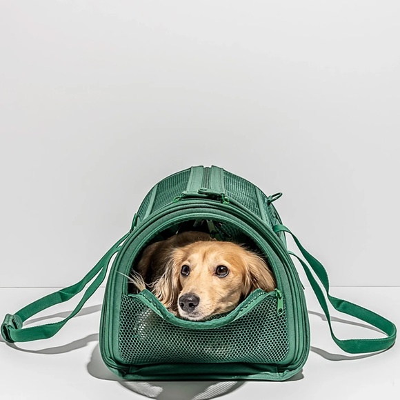 Wild One Travel Dog Carrier Green (Spruce) with Detachable Strap - Picture 2 of 10